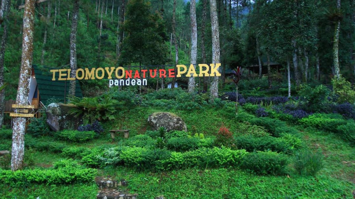 Telomoyo Nature Park: Menjelajahi Pesona Alam di Lereng Merapi